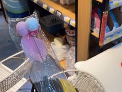 -糯米喵星人总部直营旗舰店·猫舍·幼猫出售
