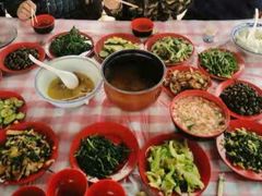-樂桃源奉贤黄桃种植采摘基地