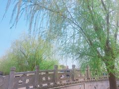 -碧丽宫大酒店(召稼楼店)