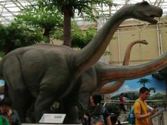 -国家自然博物馆