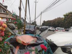 -都江堰石锅鱼