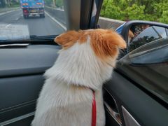 -畜牧兽医站(共江路店)