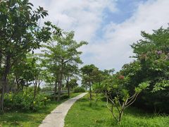 -福田红树林生态公园