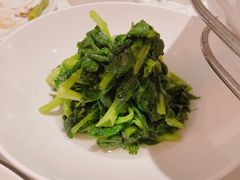 -南麓·浙里(外滩店)