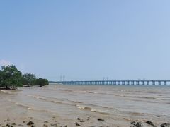 -宝安西湾红树林湿地公园