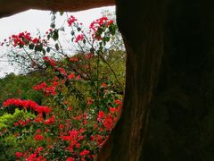 -广州市白云山风景名胜区