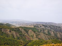 -苏木山森林公园