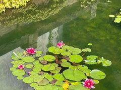 -王阳明故居