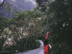-太鲁阁公园