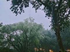-杭州花家山庄