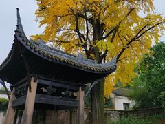 -惠山古镇·寄畅园