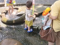 -成都市活水公园