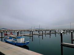 -西海岸生态观光园