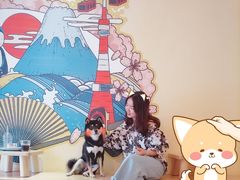-喜柴咖啡·柴犬狗咖