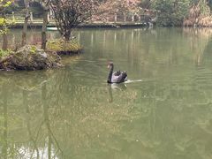 -千岛湖东南湖区