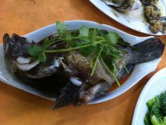 清蒸石斑-板桥海鲜广场(文明东店)