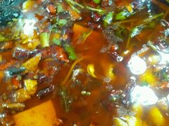 -乡土特色.冷锅鱼.牦牛肉汤锅