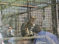 -青藏高原野生动物园