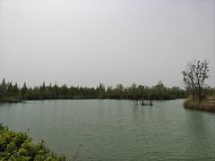 -泗洪洪泽湖湿地景区