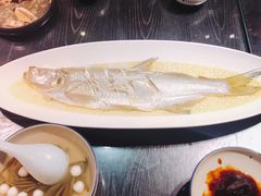 苏帮太湖白鱼-苏帮袁Sue Cuisine(将台店)