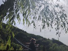 -芦芽山旅游度假区