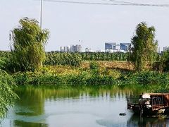 -莲花岛景区