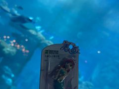 -海合安青岛极地海洋公园