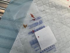 -良伴无忧宠物医院(泰欣嘉园店)