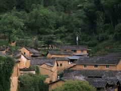 -杨家堂村