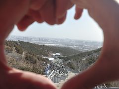 -大青山野生动物园