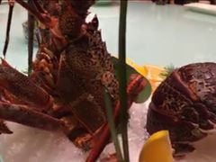 -御龙宴