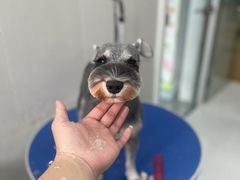 -心仪动物医院·牙专科·肿瘤·心脏科(西客站院)