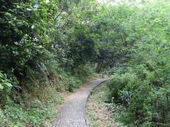 -火炉山森林公园