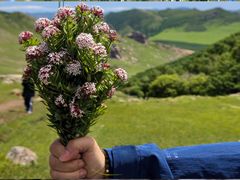 -克什克腾世界地质公园青山景区
