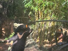 -长鹿旅游休博园