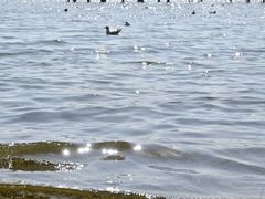 -大理洱海