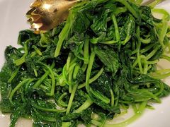清炒鸡毛菜-锦府盐帮·私宴(赛特店)
