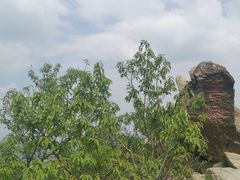 -北京鹫峰国家森林公园