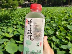 -莲池书院博物馆
