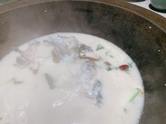 鲜潭蒸汽石锅江团鱼-鲜潭蒸汽石锅鱼(五道口购物中心店)