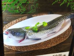 -园林美食城·本土农家菜(杨和镇店)