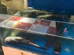 -小湘旺臭鳜鱼(百子湾店)