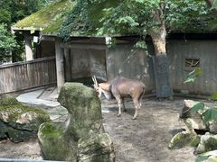 -成都动物园