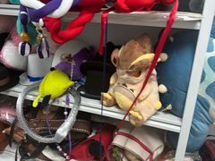 -米游妙妙屋cosplay换装自拍摄影体验馆