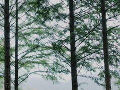 -怪咖·joker陈楠