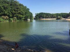 -佛山祈福仙湖酒店