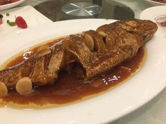 -燕春楼(海河华鼎店)