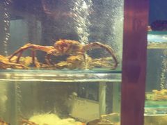 -1718海鲜姿造(苏宁宴请臻选店)