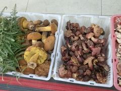 -双喜农庄·菌香园(安居家园店)