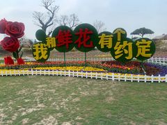-南通鲜花小镇